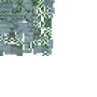 drygmy_stone.png