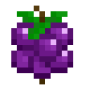 source_berry.png