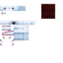 axolotl_cyan_drained.png
