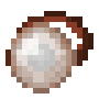 elder_guardian_eye_item.png