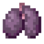 enderman_lung.png
