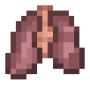 lungs.png