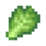 cabbage_leaf.png