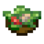 mixed_salad.png