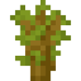 acacia_sapling.png