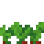 beetroots_stage2.png