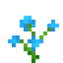 blue_orchid.png