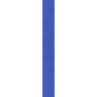 blue_stained_glass_pane_top.png