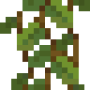 cave_vines_plant.png