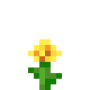 dandelion.png