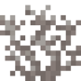 dead_brain_coral.png