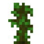 jungle_sapling.png