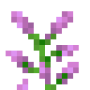 lilac_top.png