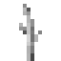 melon_stem.png