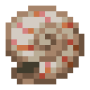 nautilus_shell.png