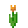 orange_tulip.png