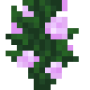 peony_bottom.png