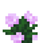 peony_top.png