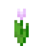 pink_tulip.png