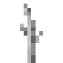 pumpkin_stem.png