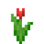 red_tulip.png