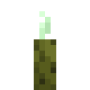 sea_pickle.png
