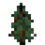 spruce_sapling.png