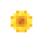 sunflower_front.png