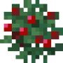 sweet_berry_bush_stage3.png