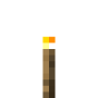 torch.png