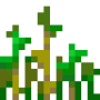 wheat_stage5.png