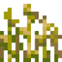 wheat_stage6.png