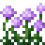 allium_flower_bush.png
