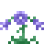 alpine_bellflower.png