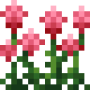 amaranth.png