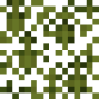 araucaria_leaves.png