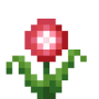 begonia.png