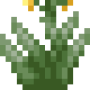 blooming_aloe_vera_bottom.png