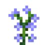 blue_sage.png