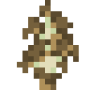 brown_birch_sapling.png