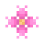 cactus_flower.png