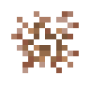 cattail_sprout_roots.png