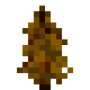 sapling.png