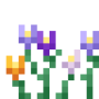 crocus.png