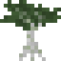 sapling.png