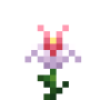 daffodil.png