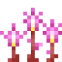 fairy_slipper.png