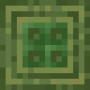 stripped_stem_top.png