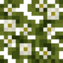 flowering_baobab_leaves.png