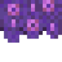 flowering_jacaranda_bush_side.png